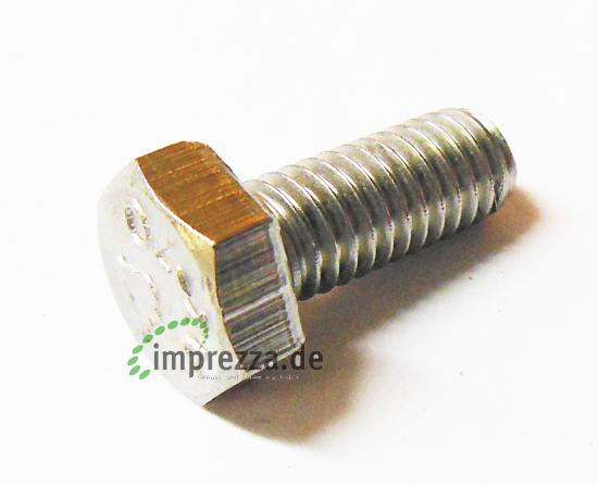 Bezzera Screw TE M6x14 UNI 5739 OT (=PE16387) 1