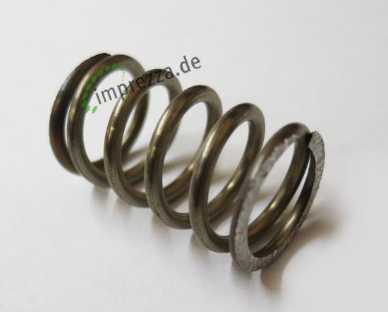 LF Feder 15x28mm