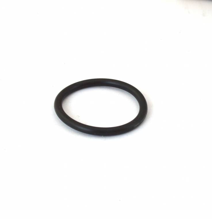 Bezzera OR-Dichtung 04131 Viton (=PE15729) 1