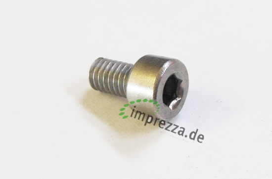 Bezzera Vite Inox T.C.C.E.I M4x8 UNI5931 (=PE16419) 1